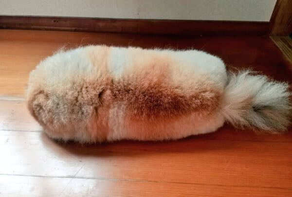 でかいちくわかもしれない
