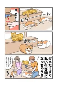 爪切りに感付いた猫が「最終形態」に　鉄壁の守りに飼い主もお手上げ