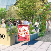 「ひんやりスムージー果樹園」が開催