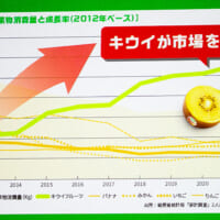 1世帯当たりの果物消費量と成長率（2012年ベース）