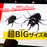 従来の最大サイズ、79mmサイズと比較して約150%の容量を持つ”90mmカプセル”。中の商品も特大サイズに