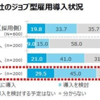 自社のジョブ型雇用導入状況のグラフ