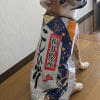 ゴキゲンな様子のさとるくん