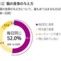 猫の食事の与え方