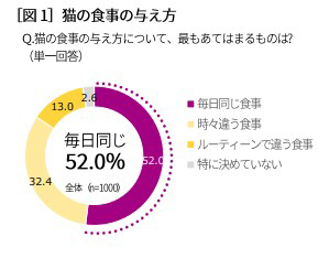 猫の食事の与え方