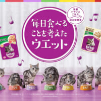 「猫の食事に関する実態調査」をカルカンが実施