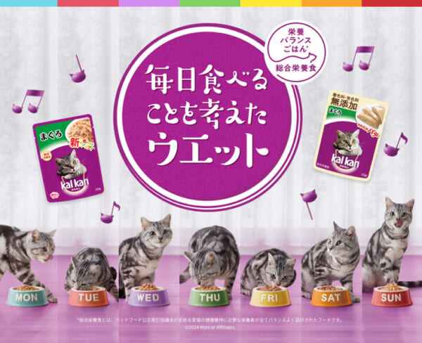 「猫の食事に関する実態調査」をカルカンが実施