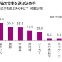 猫の食事を選ぶ決め手