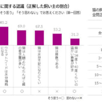 猫の健康と食事に関する認識