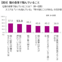 猫の食事で悩んでいること