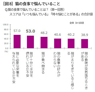 猫の食事で悩んでいること