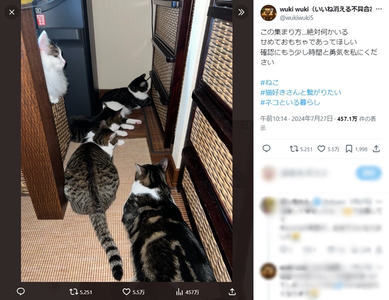 「この集まり方……絶対何かいる」と投稿した飼い主さん