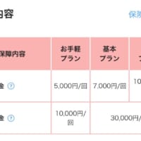 PayPay熱中症お見舞金の補償額