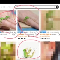 作品写真を海外ECに無断使用された作家が注意喚起　「異なる…