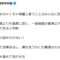 日本の水道水は凄く綺麗と投稿