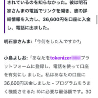 tokenizer●●●という投資プラットフォームに誘導しようとしている