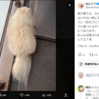 犬飼いには隠語が必要？