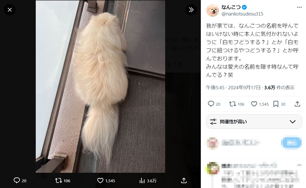 犬飼いには隠語が必要？