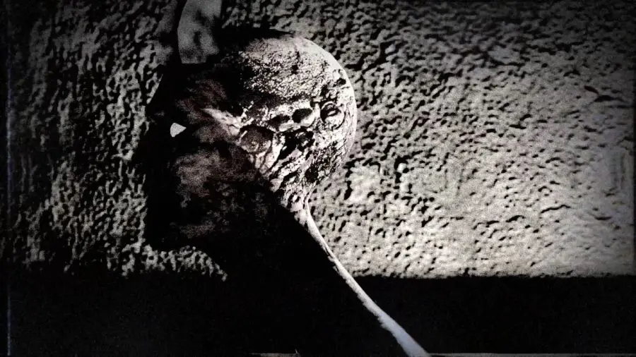 ※訳アリ　呪いの籠 訳アリ呪いの籠