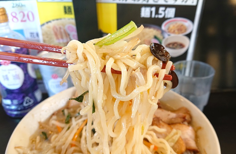 お箸で持ち上げた野菜と麺