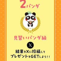 はじめてのプレイは「2パンダ」