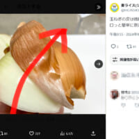 料理長が教える玉ねぎの剥き方が参考になる