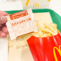 揚げたてフライドチキンの衣の美味しさを感じる「シャカシャカポテト スパイスチキン味」