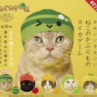 スイカゲームが猫のかぶりものに！キタンクラブから新作カプセルトイ登場