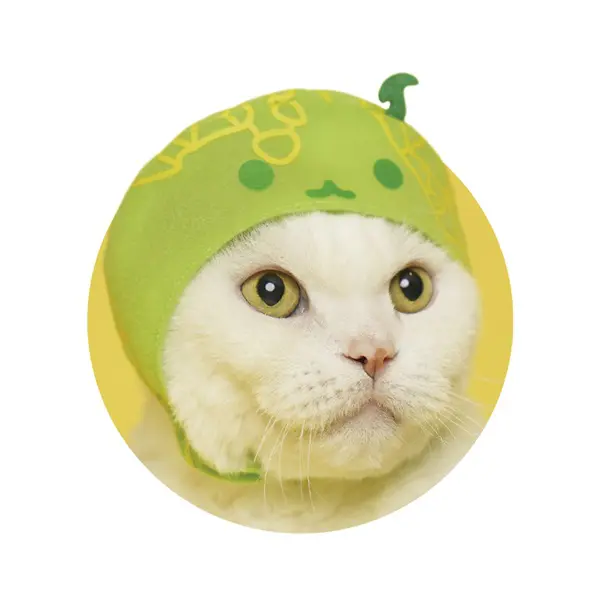 スイカゲームが猫のかぶりものに！キタンクラブから新作カプセルトイ