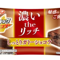 しっとりとした食感と濃厚なチョコレート感が特徴の「ブラックサンダー しっとりガトーショコラ」