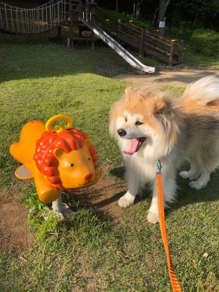 み太くんの普段のようす