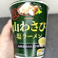 「山わさび塩ラーメン 改」パッケージ横