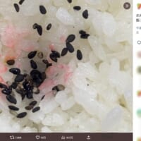 「梅樹園」の公式Xに投稿された小さくくぼんだ部分が赤くなっているご飯