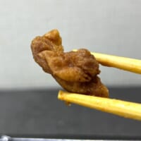 噛み応えがありそうな丸い「カリカリ」