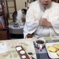 猫ちゃんを懐へ