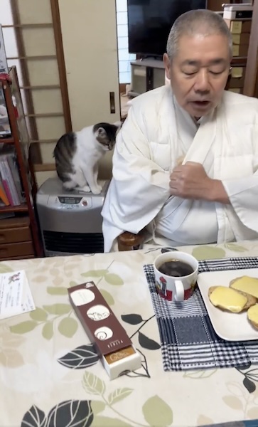 猫ちゃんを懐へ