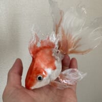 ヒレも見事に表現されているレジンの金魚