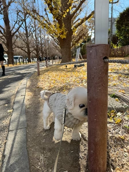 鼻先をしっかり押し付けくんくんくん