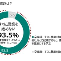 卒業後の進路