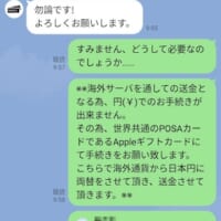 Appleギフトカードが必要な理由を尋ねるが……既読無視