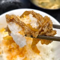 白米と牛肉を一緒に食べる