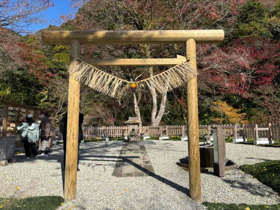 以前の猫神社のすぐ近く