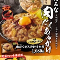 「肉だくあんかけすた丼」（税込1080円）