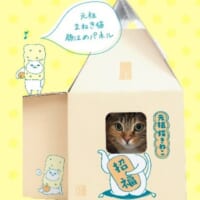 窓から顔を出すとまねき猫のように