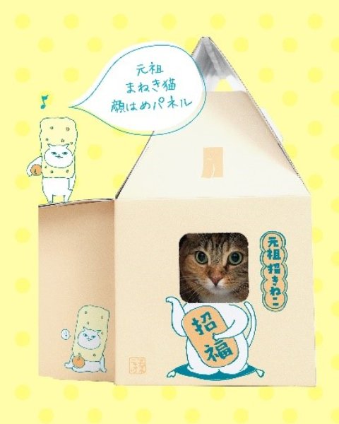 窓から顔を出すとまねき猫のように