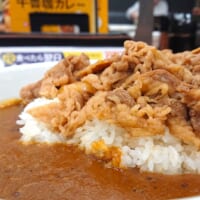 カレールーの海に浮かぶ肉の島のようにも見える「肉だく牛魯珈カレー」