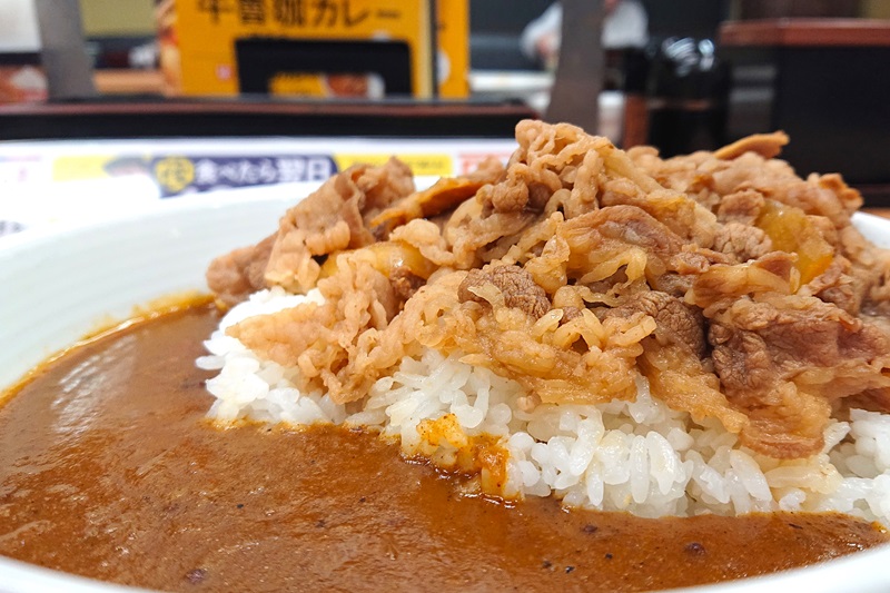 カレールーの海に浮かぶ肉の島のようにも見える「肉だく牛魯珈カレー」