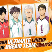 HAIKYU!! FLY HIGH