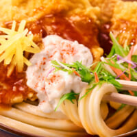 甘辛しょうがダレのはみ出る豚天ぶっかけうどん