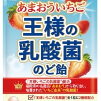 新感覚ののど飴「王様の乳酸菌のど飴」